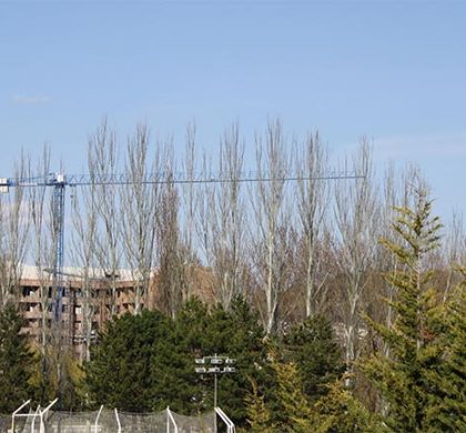 Grúa Torre zona moneda Burgos